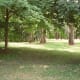 Wooded areas often break up the crop fields.
