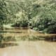 The South Fork of Wildcat Creek