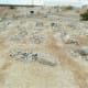 Yuma Territorial Prison Cemetery