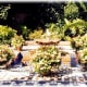 Beautiful tile work in the Temperate House part of the Missouri Botanical Gardens