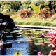 Sculptures and water lilies in reflection pool near the Climatron in Missouri Botanical Garden