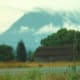 Cloudy day in the Cascades