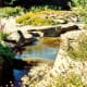 VanDusen Botanical Garden