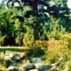 VanDusen Botanical Gardens