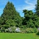 VanDusen Botanical Garden