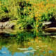 VanDusen Botanical Garden