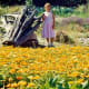 My niece standing in the VanDusen Botanical Garden
