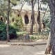 Lots of organic shapes in Güell Park