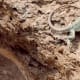 Palo Duro Canyon resident