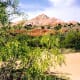Gorgeous scenery in the Palo Duro Canyon of Texas