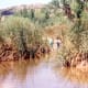 People cooling off in the water in Palo Duro Canyon.