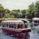 One can view the springs, fish plants, etc. through these glass bottomed boats at Silver Springs, Florida