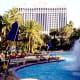Dolphin show at the Mirage