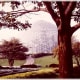 Another outside view of one of the domes and landscaping outside of the Mitchell Park Domes.