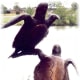 Sculpture in Loveland