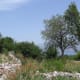 visiting-zlatni-rat-treasures-of-croatia