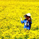 Posing in a field of yellow wildflowers