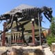 The Dino Quest exhibit at the Discovery Cube in Santa Ana.