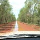 The "road" to Cape Leveque
