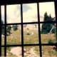 Looking out one of the Timberline Lodge windows at Mount Hood.