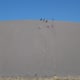 A group of climbers and sledders on one of the dunes.