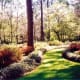 Maclay Gardens