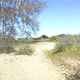 Dry bed of Salinas River in Summer