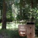 travel-the-usa-in-an-rv-from-la-via-sequoia-yosemite-lake-tajoe-ketchum-and-sun-valley-to-yellowstone-national-park
