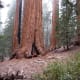 travel-the-usa-in-an-rv-from-la-via-sequoia-yosemite-lake-tajoe-ketchum-and-sun-valley-to-yellowstone-national-park
