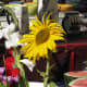 Flowers, fruit and ceramics