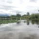 The human swimming area