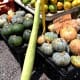 Perfect Pumpkins and What Appears to Be the Vegetable Equivalent of a Baseball Bat