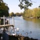 The River Thames, looking downstream, at Windsor