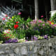 mackinac-island-vacation-things-to-see-things-to-do