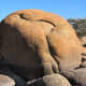 Car-sized granite boulder at Watson Lake, Prescott, AZ