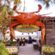 ten-fun-reasons-to-visit-tybee-island-georgia-for-a-day-or-weekend