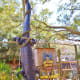 ten-fun-reasons-to-visit-tybee-island-georgia-for-a-day-or-weekend