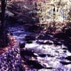 Little Pigeon River seen at ground level from the Riverview Motor Lodge in Gatlinburg.