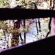 View looking through the railing of our balcony at the Little Pigeon River in Gatlinburg.