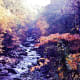 Little Pigeon River in Gatlinburg, Tennessee