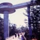 Clingmans Dome in Great Smoky Mountain National Park