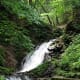 Shiraito falls in summer.