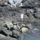 Check out the tide pools