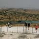 Walking to the Dig for a Day site at Bet Guvrin