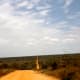 That's a long yellow road going across Kissama!