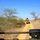 african-wildlife-national-parks