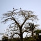 african-wildlife-national-parks