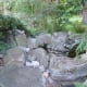 A small pond hidden just off the main path