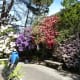 places-to-visit-in-seattle-the-ballard-locks