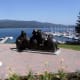 Bears, overlooking the park and marina